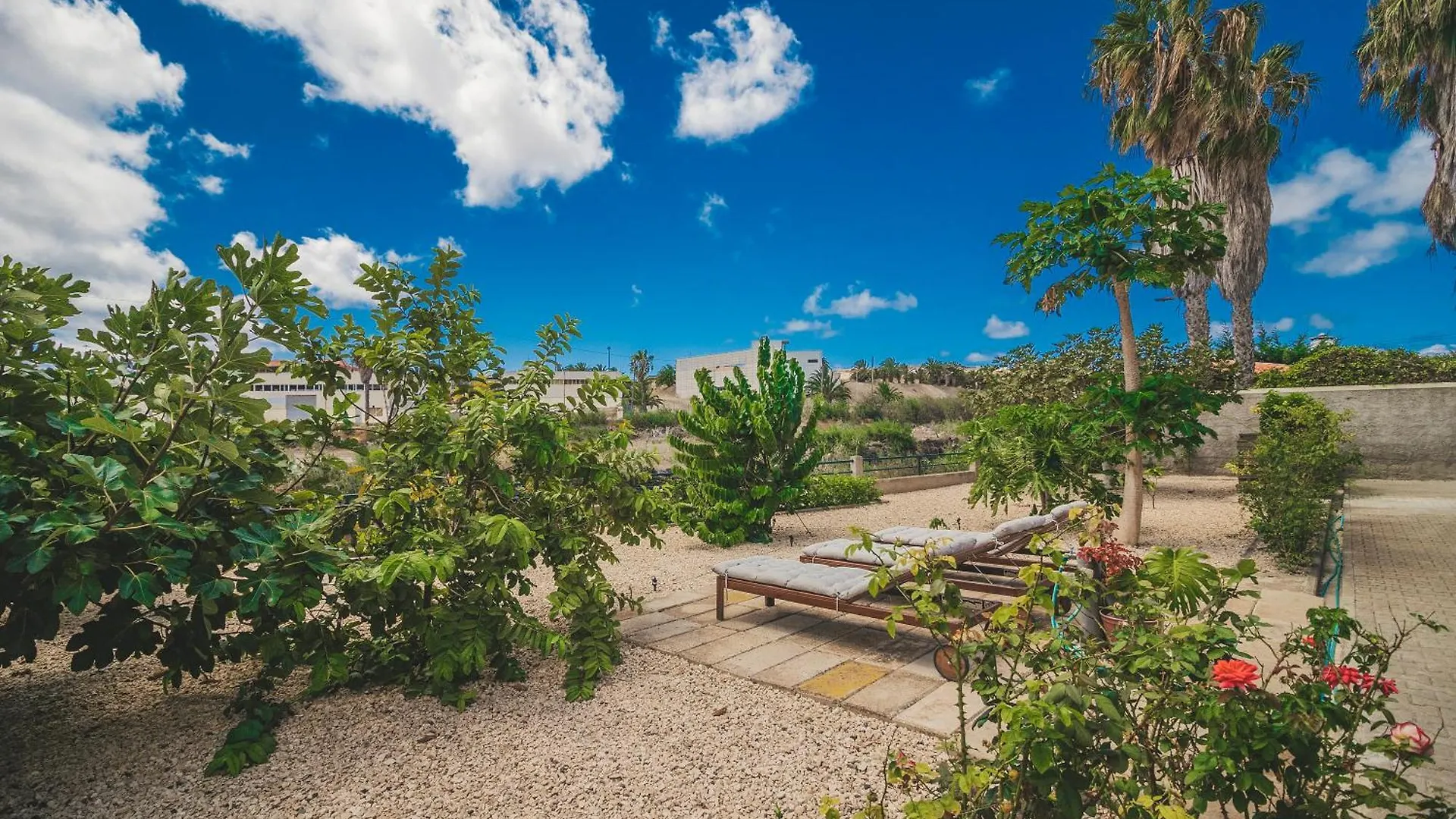 Feriehus Slowing Villas - Villa Oceano Porto Santo