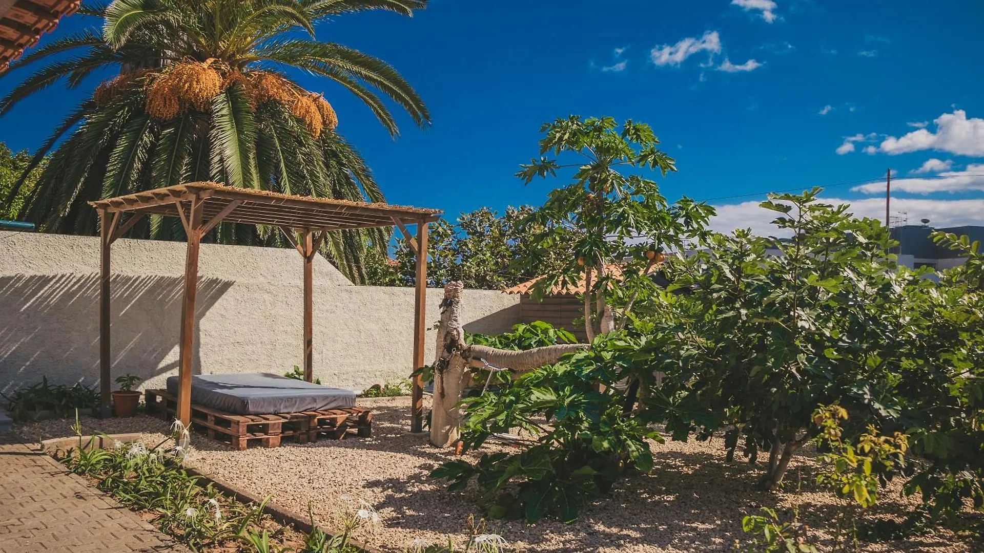 Holiday home Slowing Villas - Villa Oceano Vila Baleira  Portugal