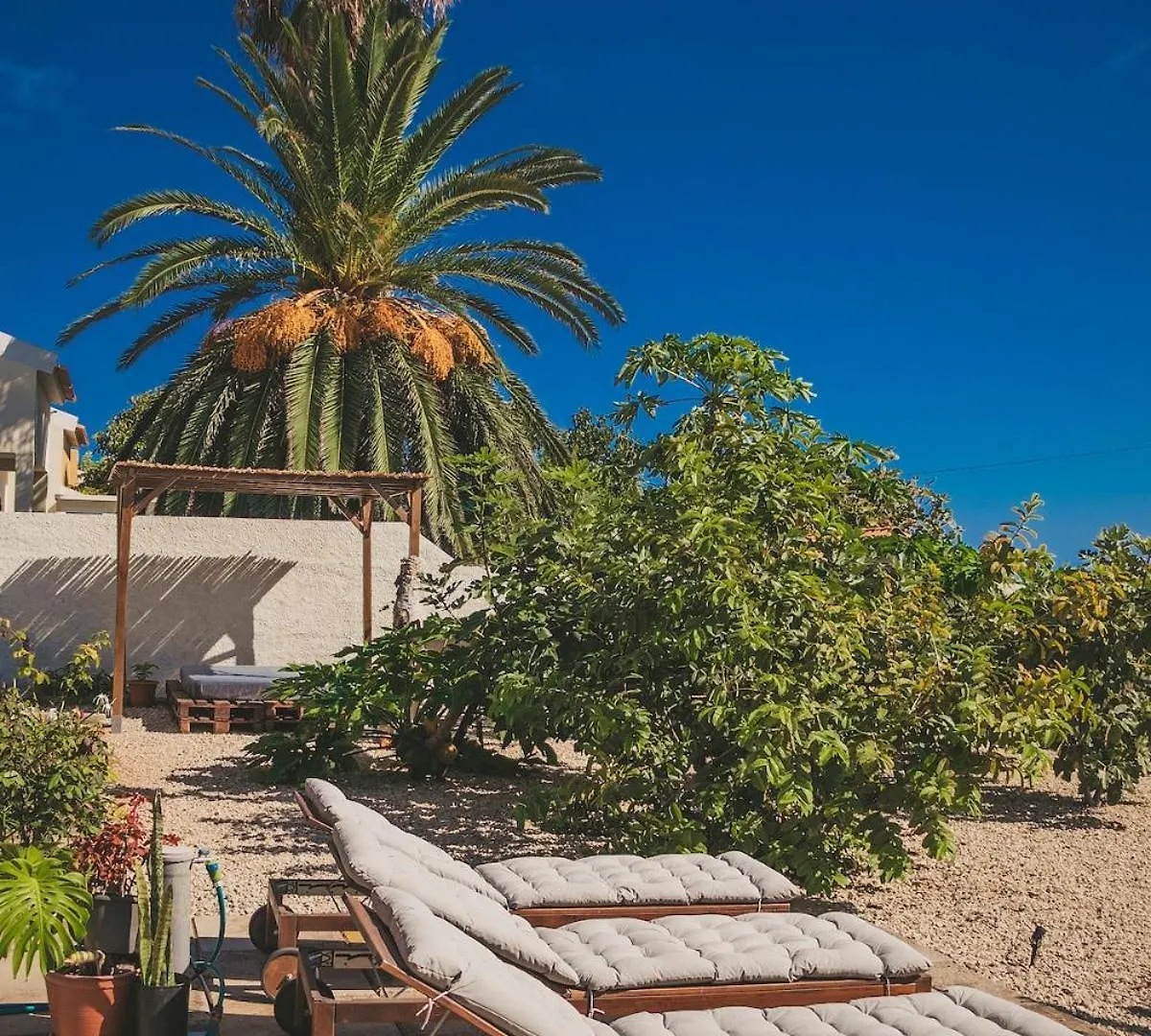 Feriehus Slowing Villas - Villa Oceano Porto Santo Portugal